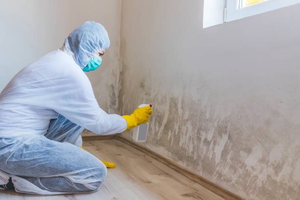 Hvac And Air Duct Mold Remediation inspection of HVAC system in Spring